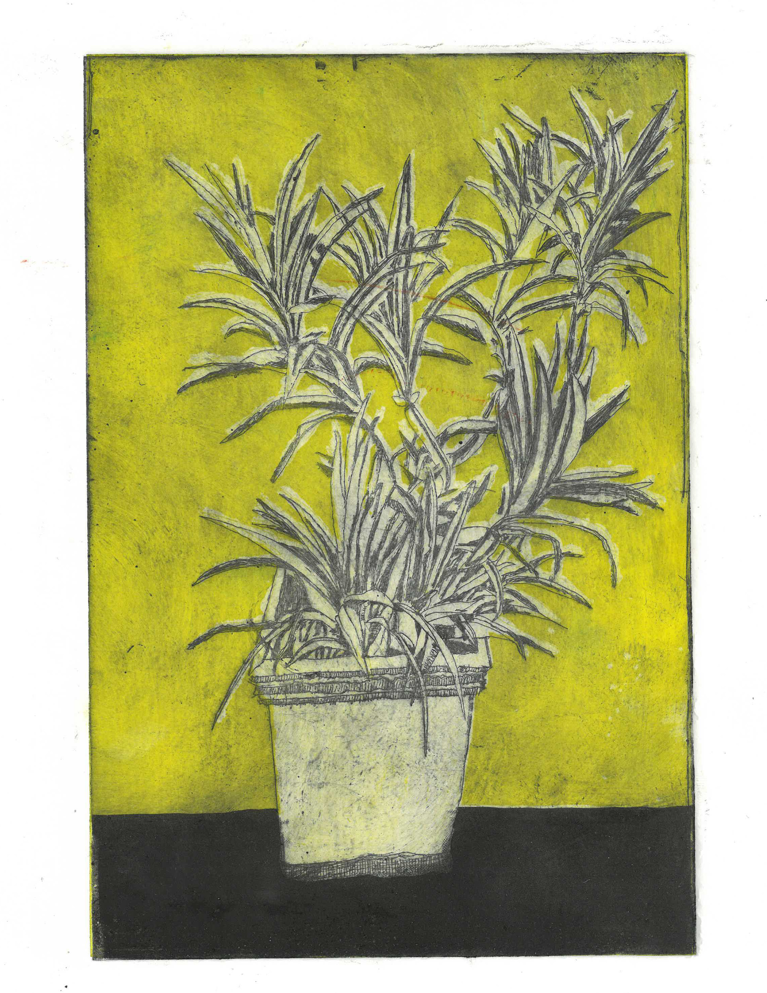 Plant Print